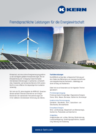 Download Infoblatt Energiewirtschaft