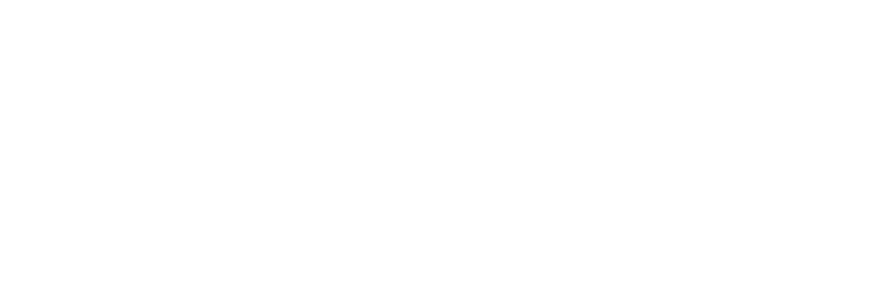 Animation zum Ablauf der Transcretaion von KERN AG, englische Version